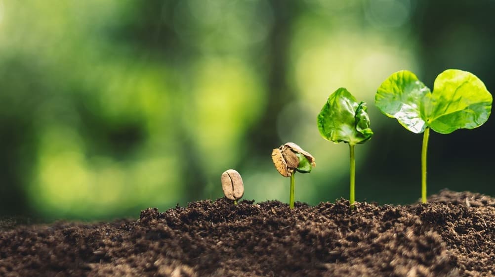 ecologie