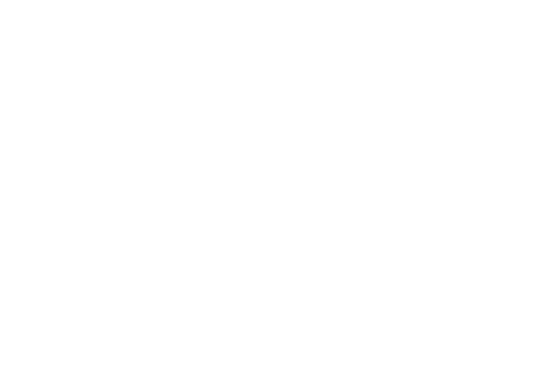 Logo blanc prometel